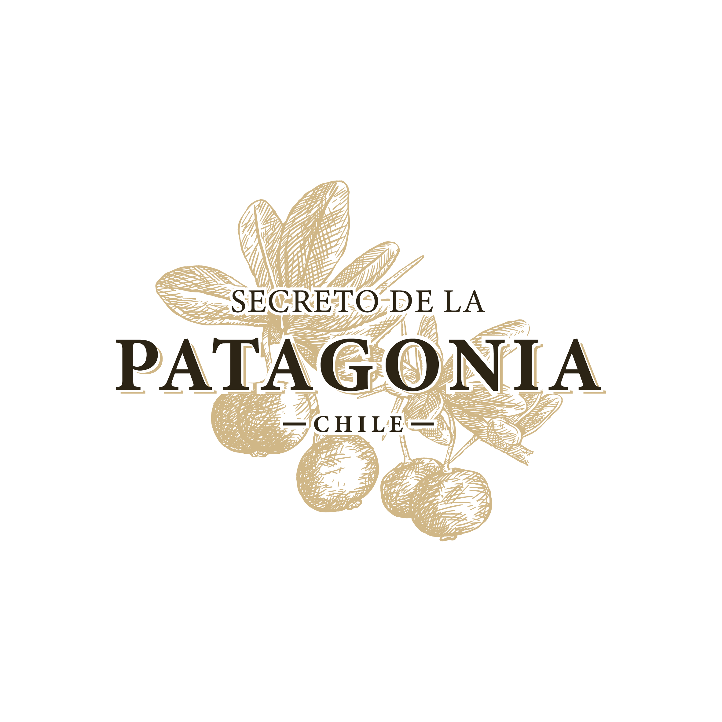 SECRETO DE LA PATAGONIA